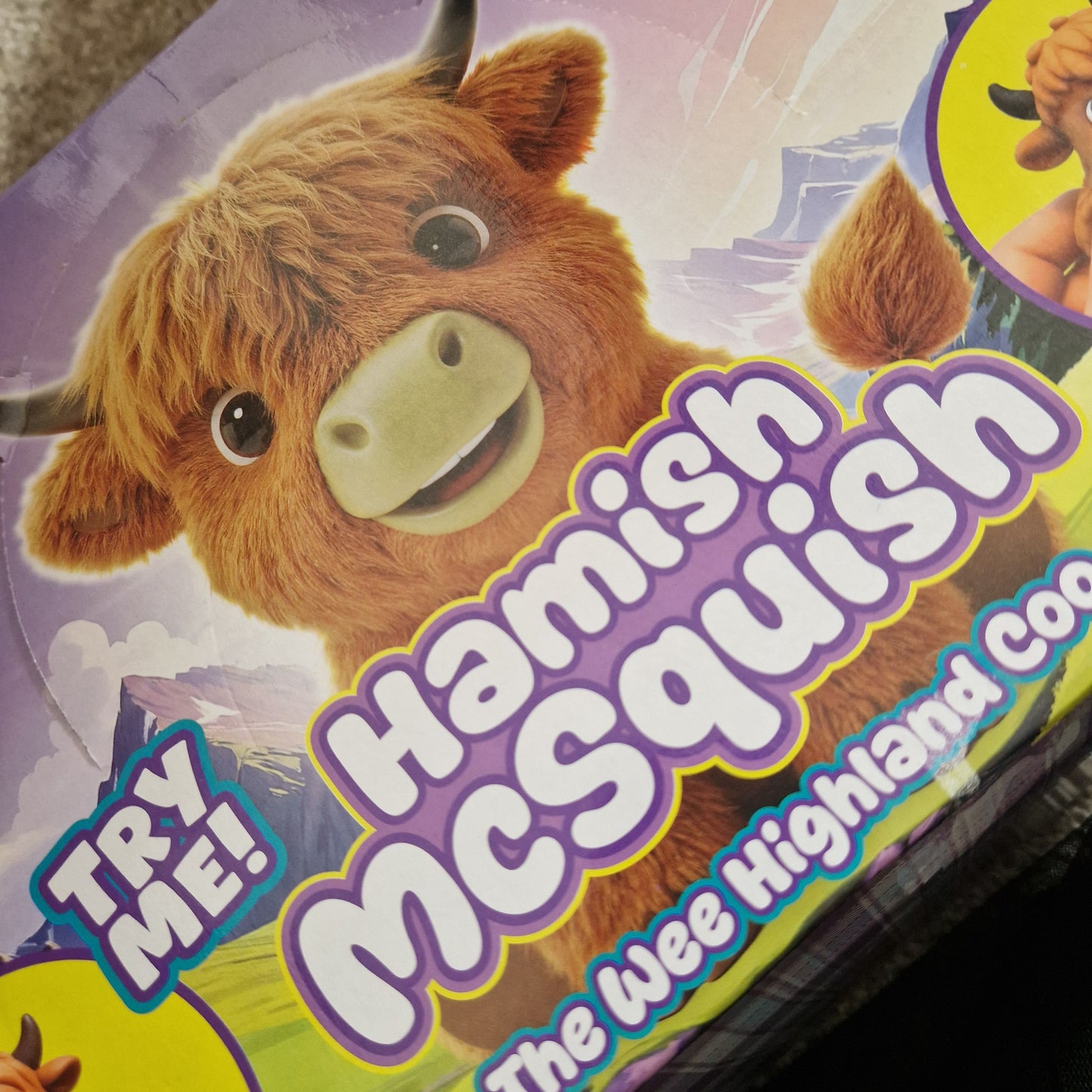 Jumbo Hamish mcsquish the wee highland cow